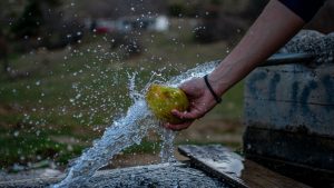 5 Βασικά Συστατικά για μια Υγιεινή Ζωή